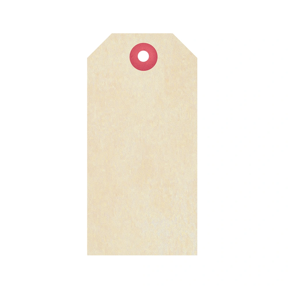 No.5 - 121 x 60mm Buff Tags
