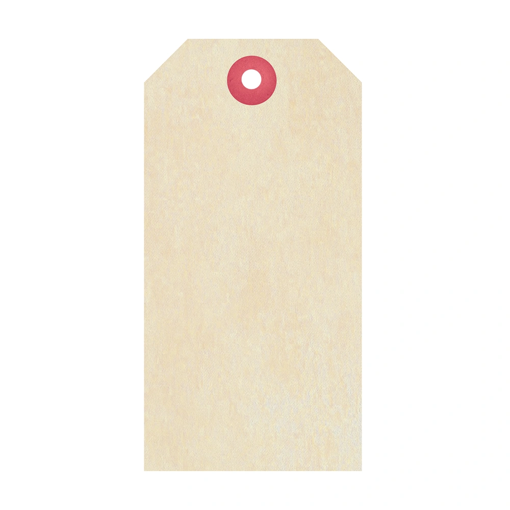 No.6 - 133 x 67mm Buff Tags